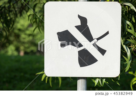 Do not allow dogs sign in park Do not allow dogs sign in park 45382949