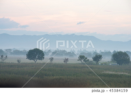 渡良瀬遊水地の夜明け 45384159