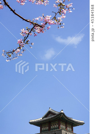 古城 古建築 風景 45384568