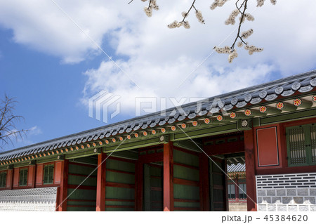 故宮 風景 空 45384620