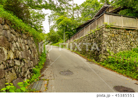 高遠城の大手坂石垣 高遠城の大手坂石垣 45385551
