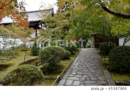 酬恩庵 一休寺 参道 酬恩庵 一休寺 参道 45387969