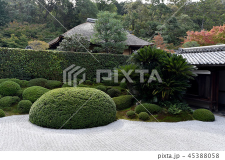 酬恩庵 一休寺　方丈庭園 45388058