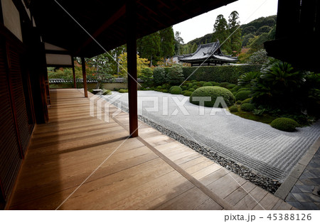 酬恩庵 一休寺 方丈庭園 酬恩庵 一休寺 方丈庭園 45388126