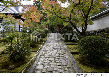 酬恩庵 一休寺　参道 45388177