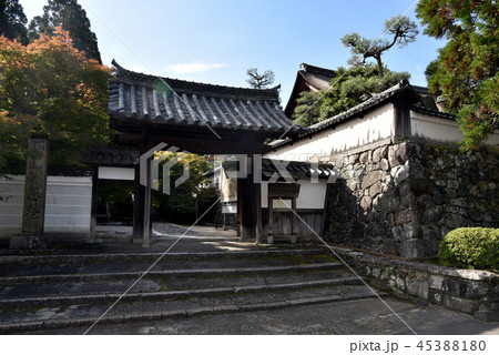 酬恩庵 一休寺 総門 酬恩庵 一休寺 総門 45388180