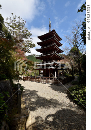 海住山寺　五重塔 45388538