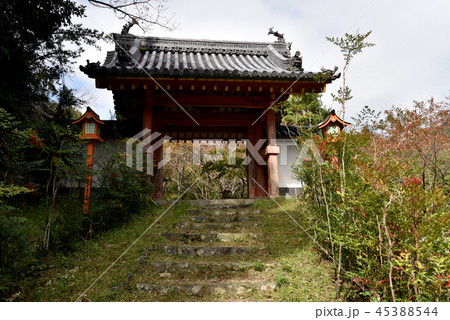 海住山寺 45388544