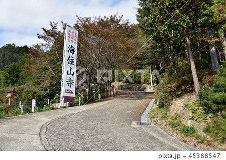 海住山寺　参道 45388547