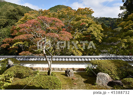 海住山寺 本坊庭園 海住山寺 本坊庭園 45388732