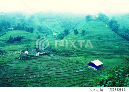 Sapa (Vietnam)  45388911