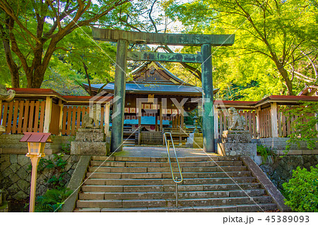 福井県敦賀市 金崎宮 45389093
