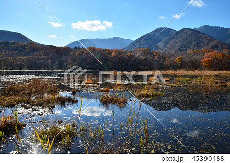 観音沼森林公園へ行きました　　＃55 45390488