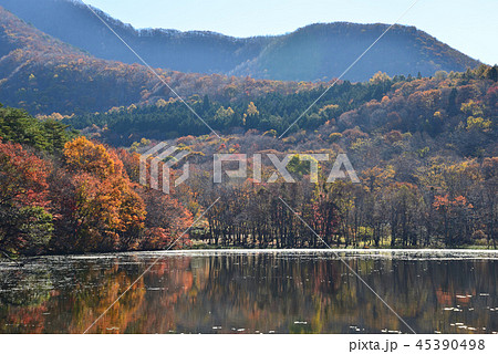 観音沼森林公園へ行きました #52 観音沼森林公園へ行きました #52 45390498