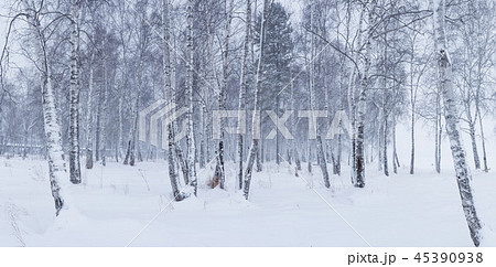 海外 旅行 スポット 45390938