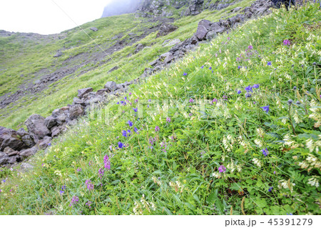 海外 旅行 スポット 45391279