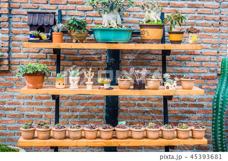 Small tree in beautiful pot decorate on wood shelf Small tree in beautiful pot decorate on wood shelf 45393681