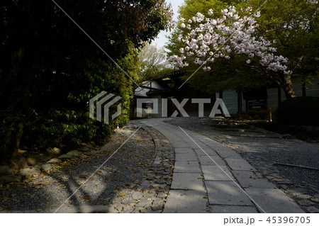 京都　龍安寺 45396705