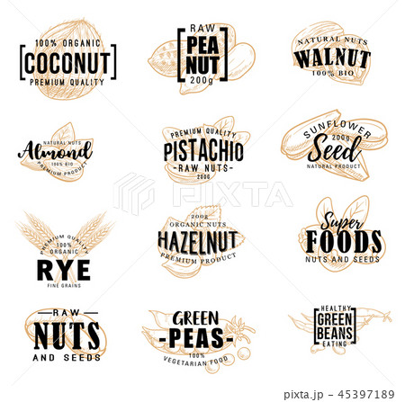 Nuts and fruit seeds vector sketch lettering Nuts and fruit seeds vector sketch lettering 45397189