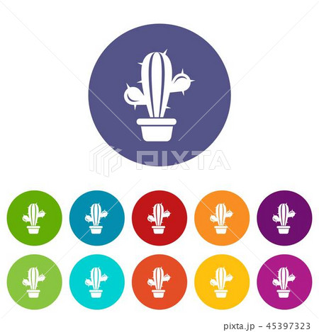 Domestic cactus icon, simple style Domestic cactus icon, simple style 45397323