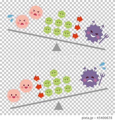 腸内細菌のバランスのイラスト 腸内細菌のバランスのイラスト 45400678