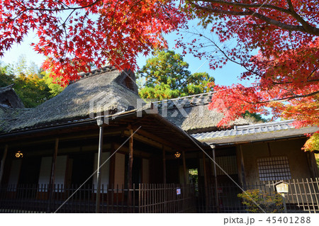 奈良公園 吉城園 奈良公園 吉城園 45401288