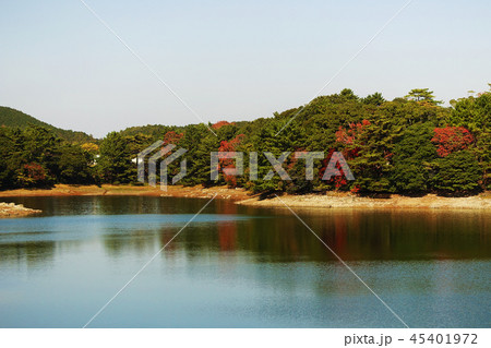 野岳湖(長崎県大村市:秋の行楽シーズン) 野岳湖(長崎県大村市:秋の行楽シーズン) 45401972