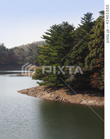 野岳湖(長崎県大村市:秋の行楽シーズン) 野岳湖(長崎県大村市:秋の行楽シーズン) 45401988