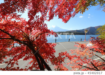 富士山と紅葉 富士山と紅葉 45402017