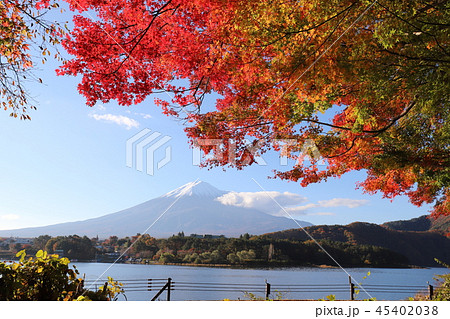 富士山と紅葉 45402038