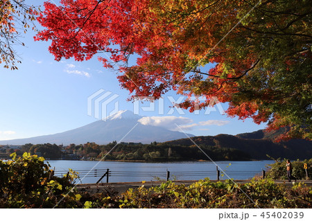 富士山と紅葉 45402039