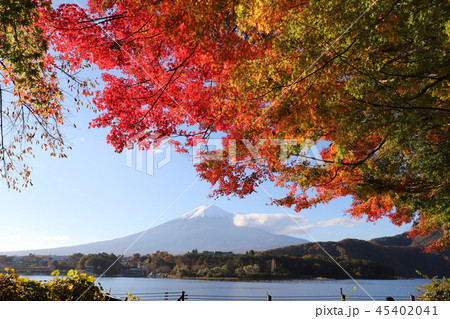 富士山と紅葉 45402041