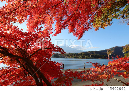 富士山と紅葉 45402042
