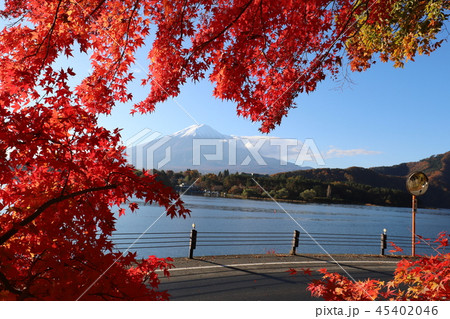富士山と紅葉 富士山と紅葉 45402046