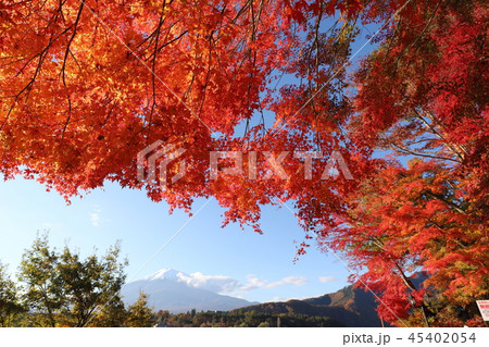 富士山と紅葉 富士山と紅葉 45402054