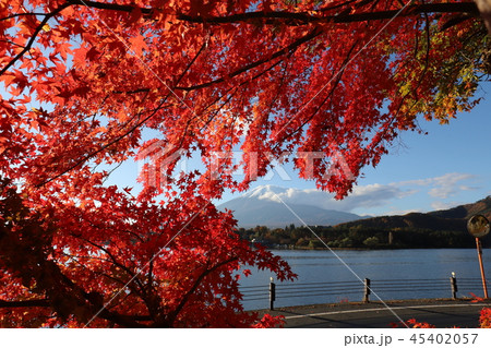 富士山と紅葉 45402057
