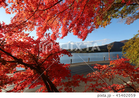 富士山と紅葉 45402059