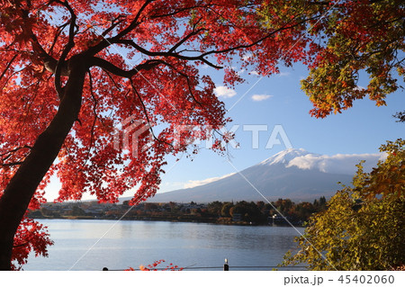 富士山と紅葉 富士山と紅葉 45402060