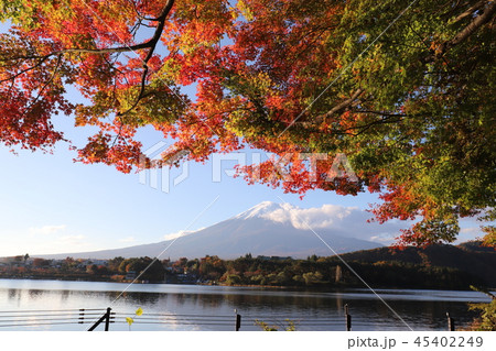 富士山と紅葉 45402249
