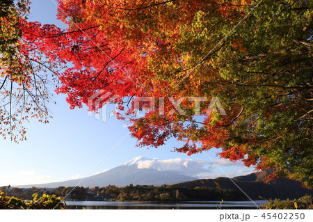 富士山と紅葉 45402250