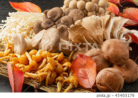 キノコの盛り合わせ 45403176