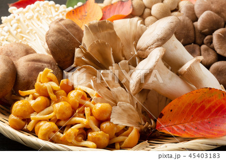 キノコの盛り合わせ 45403183