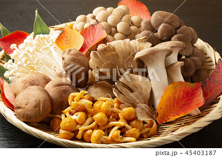 キノコの盛り合わせ 45403187