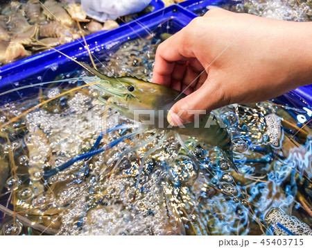 Woman hand picking up shrimp big size at container Woman hand picking up shrimp big size at container 45403715