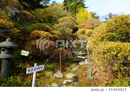 高湯温泉　紅葉 45404025