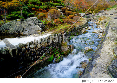 高湯温泉　紅葉 45404027