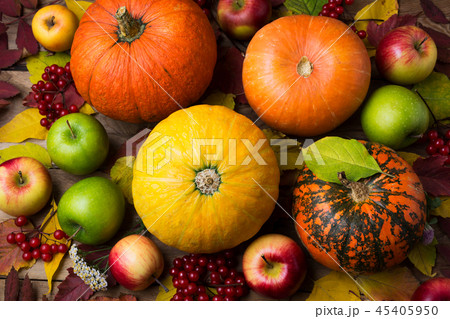 Fall background with yellow pumpkin and viburnum 45405950