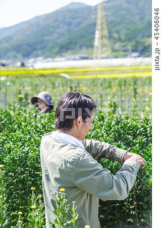 農業　家族 45406046