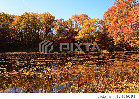 矢ノ原湿原へ行きました #9 矢ノ原湿原へ行きました #9 45406091