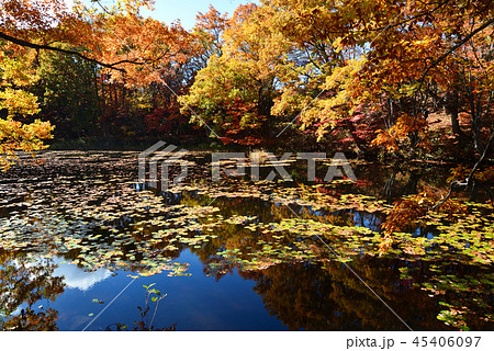 矢ノ原湿原へ行きました　　＃4 45406097